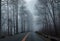 Mysterious road weaves between tall trees in a foggy and wet forest on a rainy morning