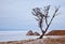 Mysterious rock Shamanka of Olkhon Island on Lake Baikal