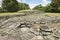 Mysterious ruins of Guayabo de Turrialba, Costa Rica.