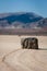 The mysterious Sailing Stone at the Racetrack in Death Valley California.