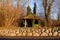 Mysterious shed with green vines