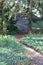 Mysterious sinuous pathway over hill with contrasted daylight in woods