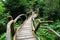 Mysterious spooky boardwalk forest entrance