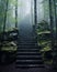 Mysterious staircase in the woods. Stone steps leading up and fading into the mist. Summer forest in hazy light. Generative AI