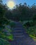 A mysterious stairway in the middle of the forest 3d rendering