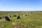 Mysterious stone rows in Dartmoor, prehistoric standing stones