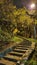 Mysterious stone stairs in the green dense forest.