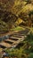 Mysterious stone stairs in the green dense forest.