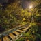 Mysterious stone stairs in the green dense forest.