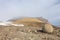 Mysterious stones of Champ Island in Arctic