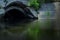 Mysterious tunnel overlooking the river