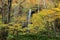 Mysterious waterfall in the autumn forest of Towada Hachimantai National Park, Aomori Oirase Japan