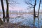 Mysterious wetland scenic. Nature reserve.