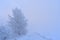 Mysterious white winter road .Lithuania landscape