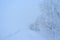 Mysterious white winter road .Lithuania landscape