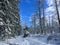 Mysterious winter hike to Brocken on the Goethe-Way in deep snow