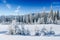 Mysterious winter landscape majestic mountains in winter. Magical snow covered tree. In anticipation of the holiday