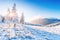 Mysterious winter landscape majestic mountains in winter. Magical snow covered tree. In anticipation of the holiday