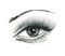 Mysteriously beautiful woman`s eye with delicately curved eyelashes and an eyebrow. Graphic drawing with slate pencil. Isolated on