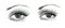 Mysteriously beautiful woman`s eye with delicately curved eyelashes and an eyebrow. Graphic drawing with slate pencil. Isolated o