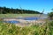 Mystery Bay, Marrowstone island. Olympic Peninsula. Washington State.