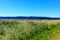 Mystery Bay, Marrowstone island. Olympic Peninsula. Washington State.