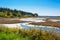 Mystery Bay, Marrowstone island. Olympic Peninsula. Washington State.