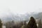 Mystery beautiful fog descends from the mountains into a forest full of green pine trees in the Tatras