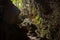 Mystery cave entrance with rocks, mist, green trees