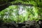 Mystery cave in tropical forest, lush fern, moss and lichen on the stone wall of the cave. Water splashes with tropical trees in