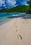 Mystery footprints in the sand in Hawksnest beach on the island of St. John