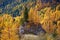 Mystic autumn landscape with three larches on stone in Dolomite