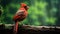 Mystic Cardinal: Symbolic Cardinal On Wood Branch In Emerald And Crimson