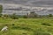 Mystic castle ruin in Ireland. Panoramic view of abandoned castle ruin in Ireland