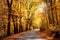 Mystic charming enchanting landscape with a road in the autumn f