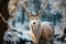 Mystic Christmas reindeer in wonderful winter forest. Stag among snowy trees on magical Christmas night