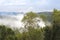 Mystic clouds in the jungle in Tamborine Mountain National Park, Australia