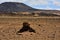 Mystic cult rocky sign in the desert