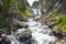 Mystic Falls, along the Little Firehole River, Yellowstone National Park