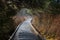 Mystic journey ahead, a quiet lane on a beautiful forest with stream. Beautiful wooden path trail for nature trekking