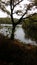 Mystic landscape, autumn colors, lake, pond, gray and silver sky.