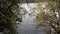 Mystic landscape, lake, forest, pond, gray and silver sky.