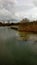 Mystic landscape, lake, pond, marsh, white clouds, gray sky. Marsh plants and flowers.