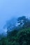 Mystic primeval rainforest in blue misty in a rainy day