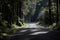 Mystic road through dense ancient forest with lichen