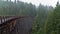 Mystic view of restored historic railroad bridge Kinsol Trestle on Vancouver Island, British Columbia, Canada.