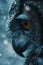 Mystic winter Stare: The Owl\\\'s Eye