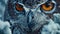 Mystic winter Stare: The Owl\\\'s Eye