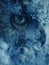 Mystic winter Stare: The Owl\\\'s Eye