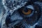 Mystic winter Stare: The Owl\\\'s Eye